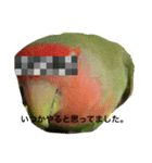 コザクラインコ ぐーちゃんvol.3（個別スタンプ：9）
