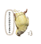 コザクラインコ ぐーちゃんvol.3（個別スタンプ：12）