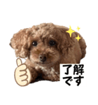 すもももスタンプ2（個別スタンプ：6）
