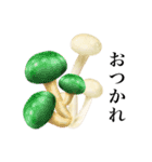 毒キノコ です 山盛り きのこ（個別スタンプ：16）