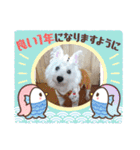 季節のcocoちゃん（個別スタンプ：5）