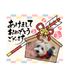 季節のcocoちゃん（個別スタンプ：6）