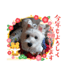 季節のcocoちゃん（個別スタンプ：10）