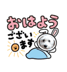 季節のcocoちゃん（個別スタンプ：12）