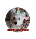 季節のcocoちゃん（個別スタンプ：14）
