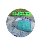 季節のcocoちゃん（個別スタンプ：18）