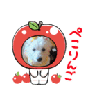 季節のcocoちゃん（個別スタンプ：23）