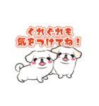 動くペキニーズ！！2 ～LINEスタンプの日～（個別スタンプ：17）