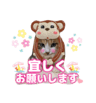 猫❤️デカ文字❤️ミケ❤️キジトラ❤️日常（個別スタンプ：3）