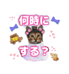 猫❤️デカ文字❤️ミケ❤️キジトラ❤️日常（個別スタンプ：10）