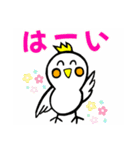 オカメインコ♥シンプルで毎日使える（個別スタンプ：23）