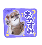 ルナたん スタンプ（個別スタンプ：2）