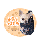 ルナたん スタンプ（個別スタンプ：7）