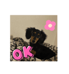 ルイ★（個別スタンプ：3）