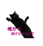 黒猫ふくの日常（個別スタンプ：5）