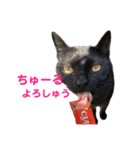 黒猫ふくの日常（個別スタンプ：6）