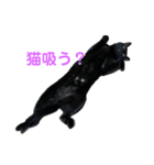 黒猫ふくの日常（個別スタンプ：7）
