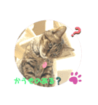 コウメちゃんスタンプ①（個別スタンプ：1）