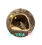 コウメちゃんスタンプ①（個別スタンプ：2）