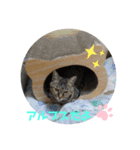 コウメちゃんスタンプ①（個別スタンプ：3）