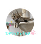 コウメちゃんスタンプ①（個別スタンプ：4）