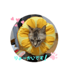コウメちゃんスタンプ①（個別スタンプ：8）