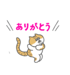 ニコニコねこちゃん (ぽっちゃり)（個別スタンプ：1）