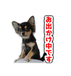 こぶしらぁ！（個別スタンプ：3）
