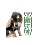 こぶしらぁ！（個別スタンプ：6）