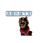 こぶしらぁ！（個別スタンプ：7）