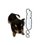 こぶしらぁ！（個別スタンプ：8）