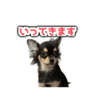 こぶしらぁ！（個別スタンプ：11）