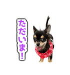 こぶしらぁ！（個別スタンプ：13）