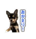 こぶしらぁ！（個別スタンプ：14）