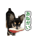 こぶしらぁ！（個別スタンプ：16）