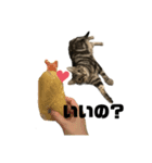 猫のとらまる（個別スタンプ：7）