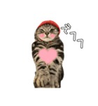 猫のとらまる（個別スタンプ：8）