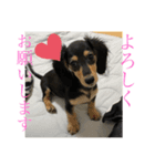 ルイ★敬語ver（個別スタンプ：1）