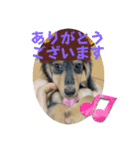 ルイ★敬語ver（個別スタンプ：3）