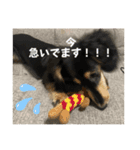 ルイ★敬語ver（個別スタンプ：4）