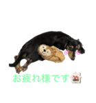 ルイ★敬語ver（個別スタンプ：6）