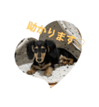 ルイ★敬語ver（個別スタンプ：7）