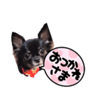 キキララルル2022ハロウィン（個別スタンプ：7）
