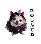 キキララルル2022ハロウィン（個別スタンプ：18）