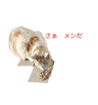 ワシのGO（個別スタンプ：1）