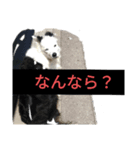 ワシのGO（個別スタンプ：4）