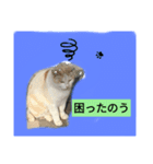 ワシのGO（個別スタンプ：8）