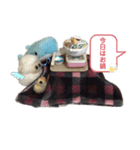 水色の羽 2（個別スタンプ：5）
