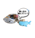 水色の羽 2（個別スタンプ：12）