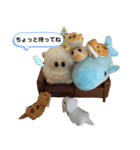 水色の羽 2（個別スタンプ：17）